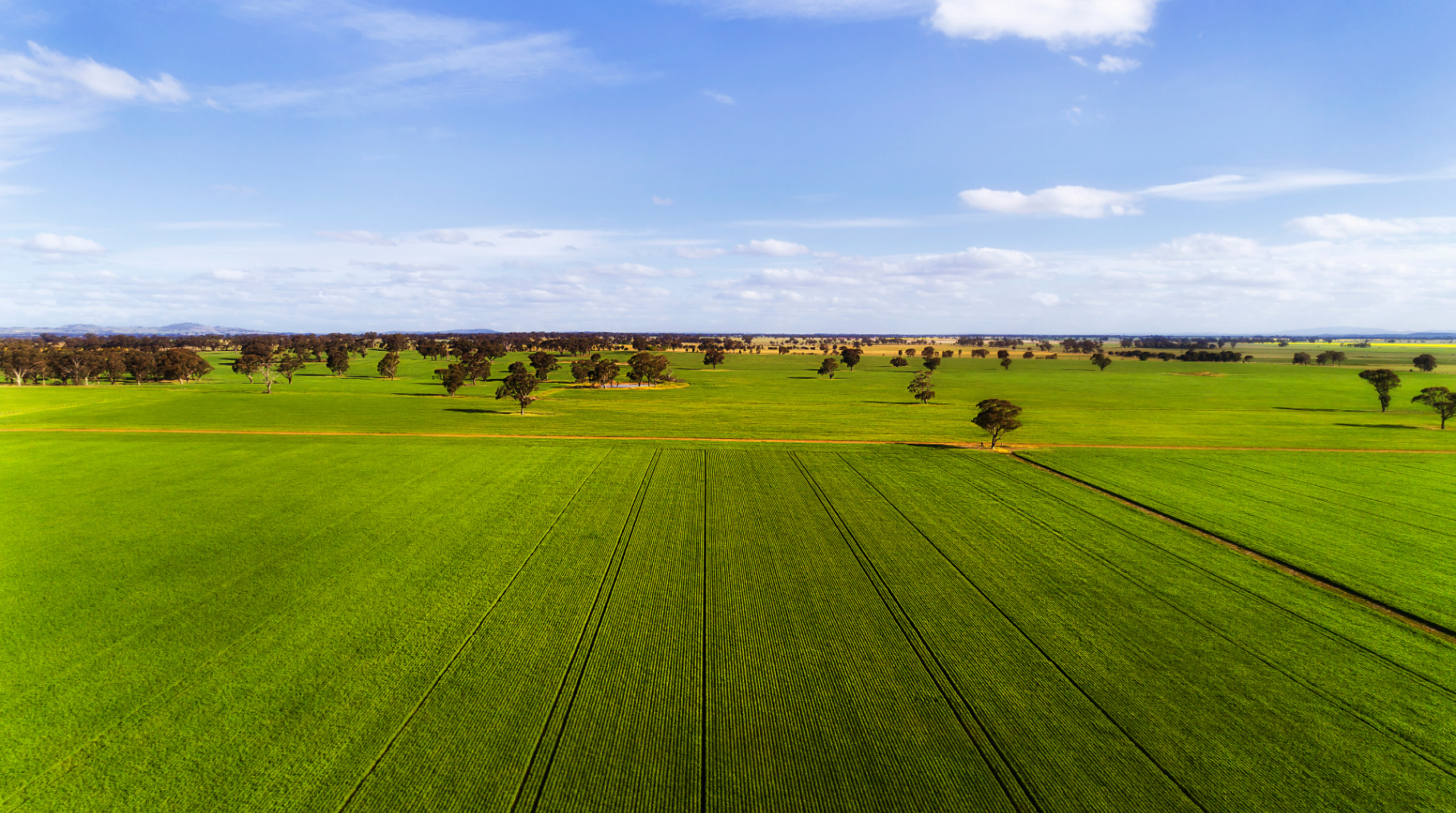 Aerial view of lush green Australian farm field